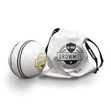 Leather Cricket Ball 156g White – 4 Piece Hand-Stitched Match Ball, Premium Alum-Tanned Cricket Ball for Practice & Training, Waterproof & Durable