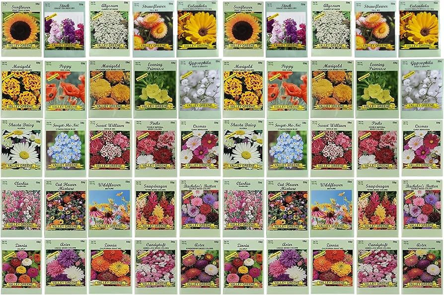 50 Assorted Flower Seeds Non-GMO Pollinator Garden Mix