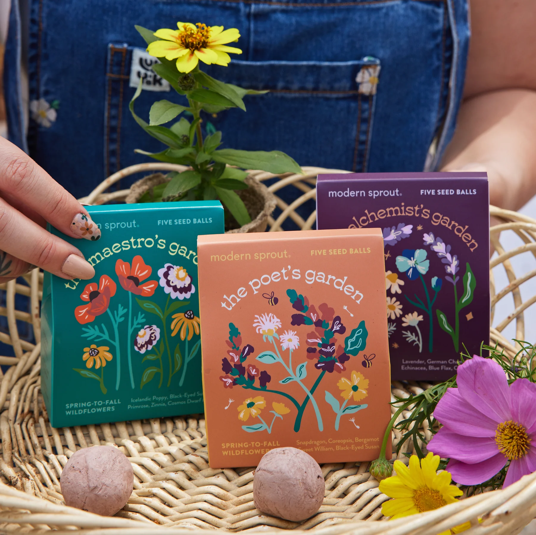 Modern Sprout Bespoke Blooms Flower Seed Ball Kit (Pack of 3) Non-GMO 15 Hand Rolled Annual & Perennial Wildflower Seed Bombs - Planting Gift for Gardeners Flower Party Wedding Favors - Made in USA