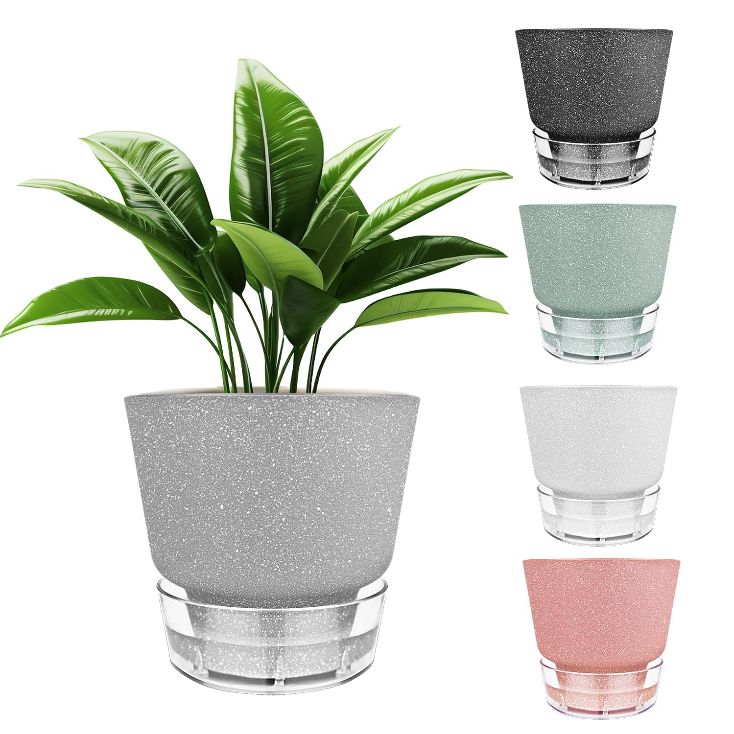 6 Inch Self-Watering Plant Pots with Visual Reservoir 5 Pack