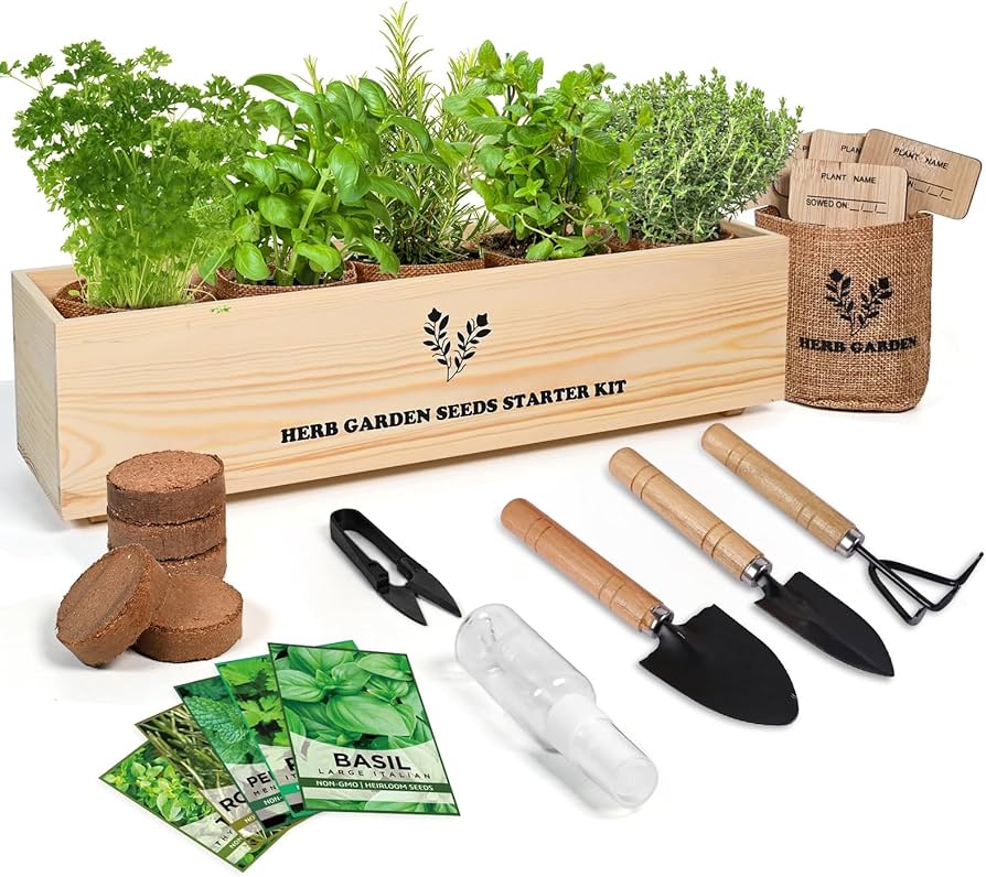 Indoor Herb Garden Starter Kit, 5 Seeds Growing into Basil, Parsley, Rosemary, Thyme, Mint, Including A Planter Box, Soil Discs & Planters with A Gift Box for Women